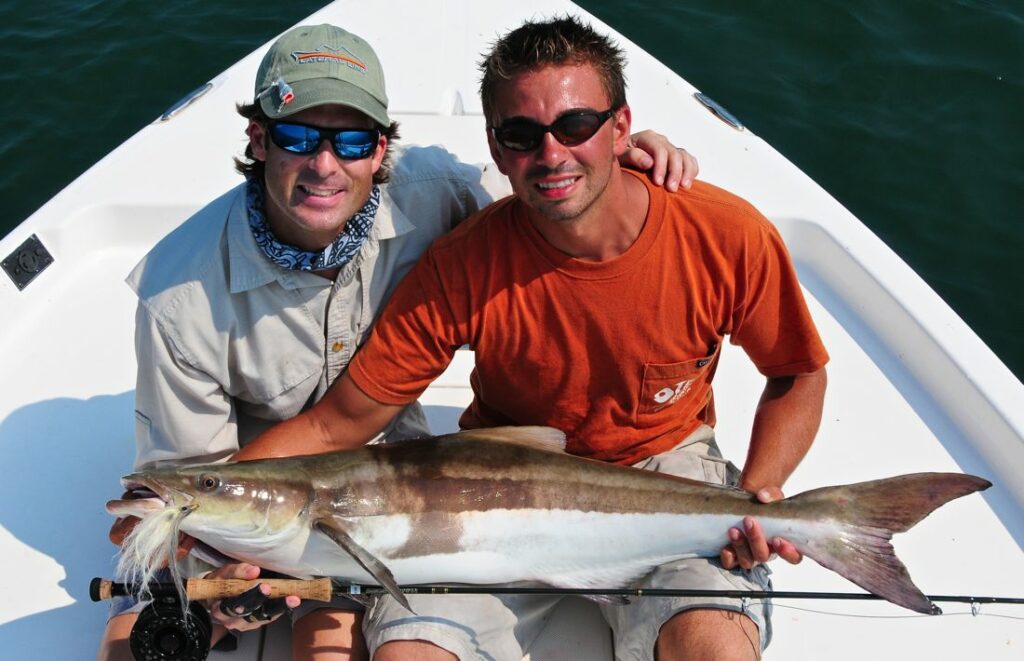 Fly fishing for cobia Brandon White with Capt. Ben Shepard Above Average fishing charters