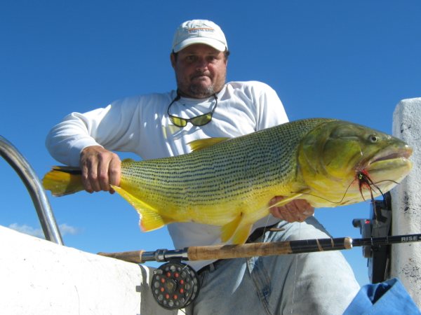 Golden Dorado Fishing Argentina fly fishing