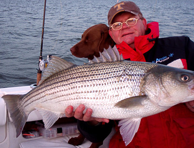 Chesapeake Bay Fishing Reports