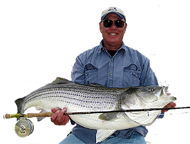 Bill Schotta with a 38lb striped bass caught on the fly with a slider fly