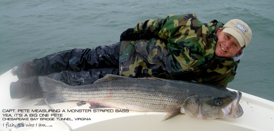 Captain Pete Daulberg of Four Seasons Guide Service - Chesapeake Bay Fishing Guides -Striped Bass Fishing Guides