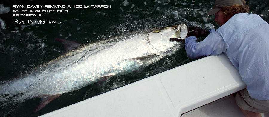 Ryan Davey Reviving a BIG Tarpon caught in Florida - Lateral Line Ambassador