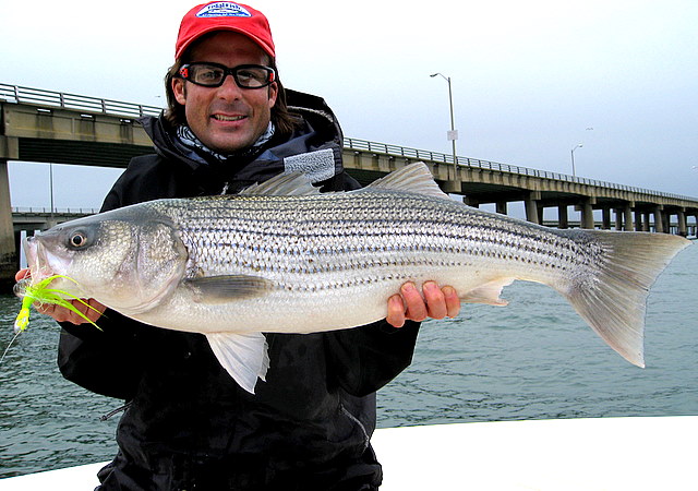 Brandon Striped Bass- Virginia Chesapeake Bay Fishing Report